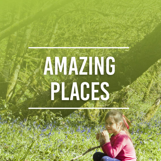 Amazing Places Image Button