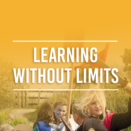 Learning without Limits Image Button